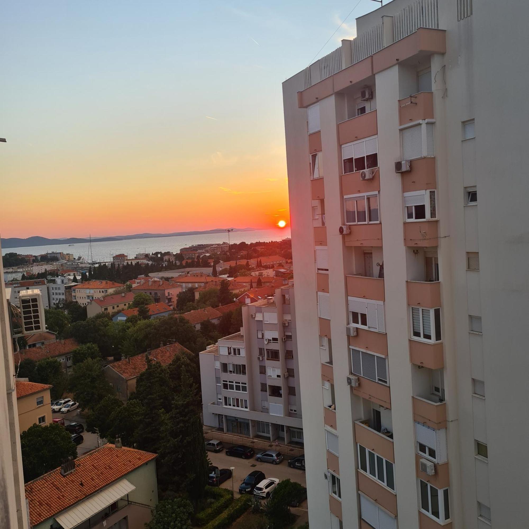 Neli Zadar
